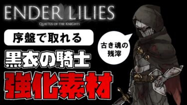 【攻略】エンダーリリーズで序盤で取れる「黒衣の騎士」の強化素材の入手場所。